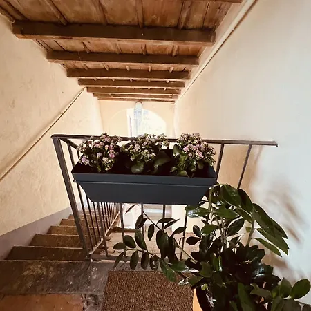 The Door Apartment
